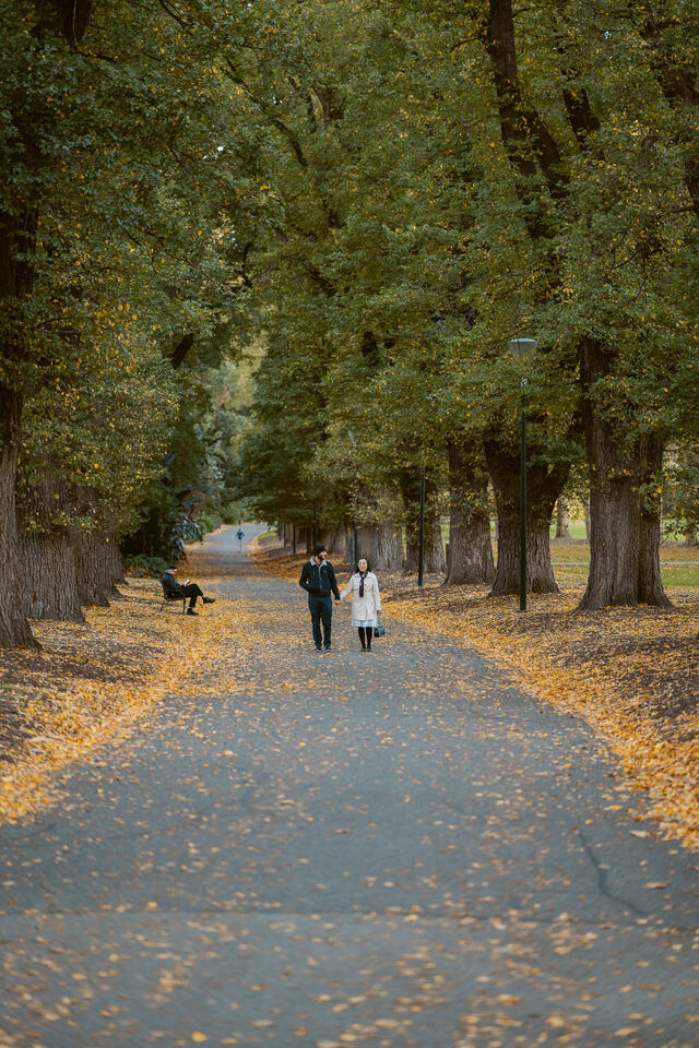 Alice couple CBD