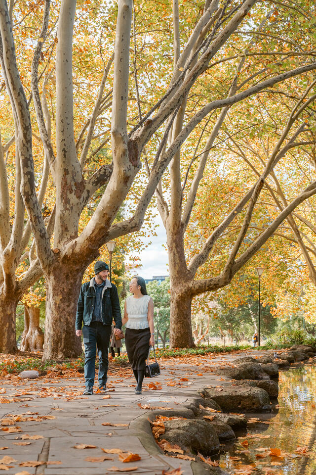 Alice couple CBD