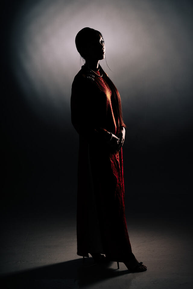 Ao Dai concept