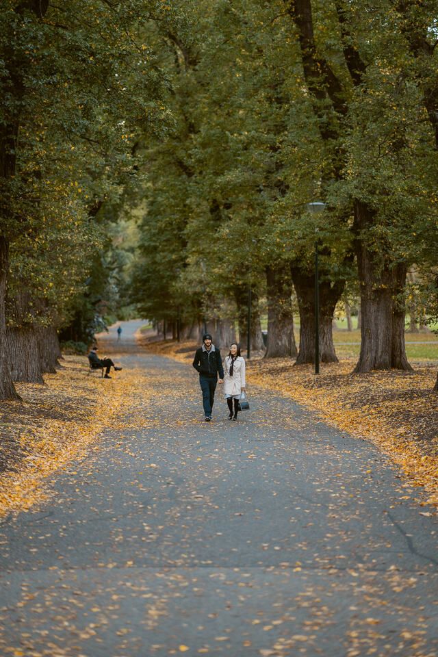 Alice couple CBD