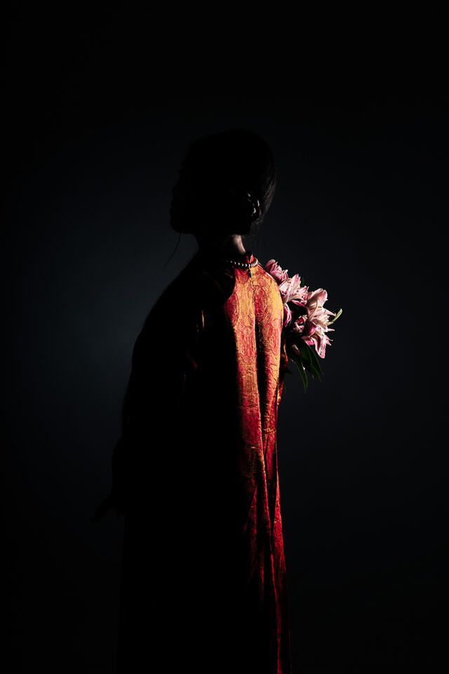 Ao Dai concept
