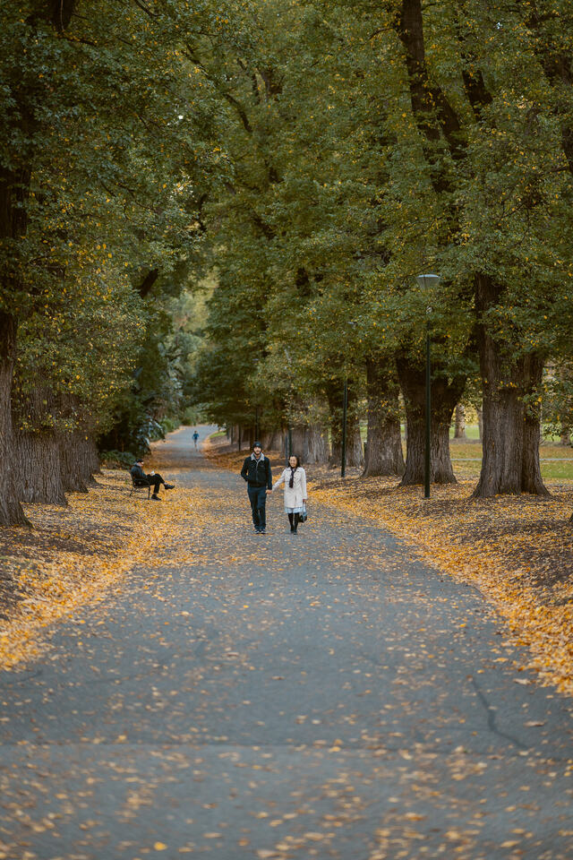Alice couple CBD