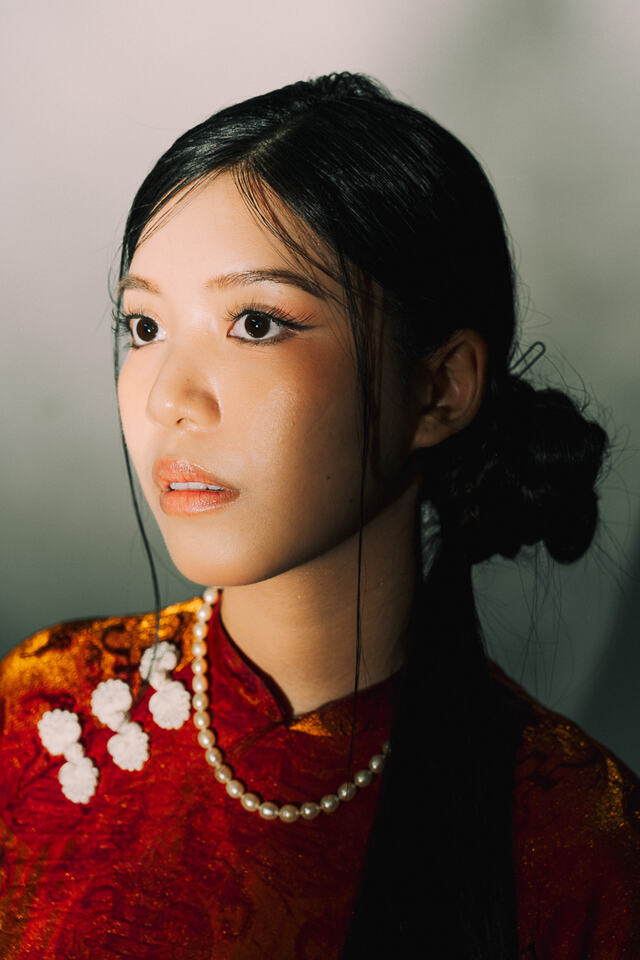 Ao Dai concept