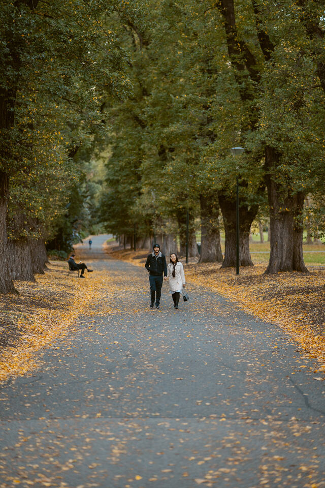 Alice couple CBD