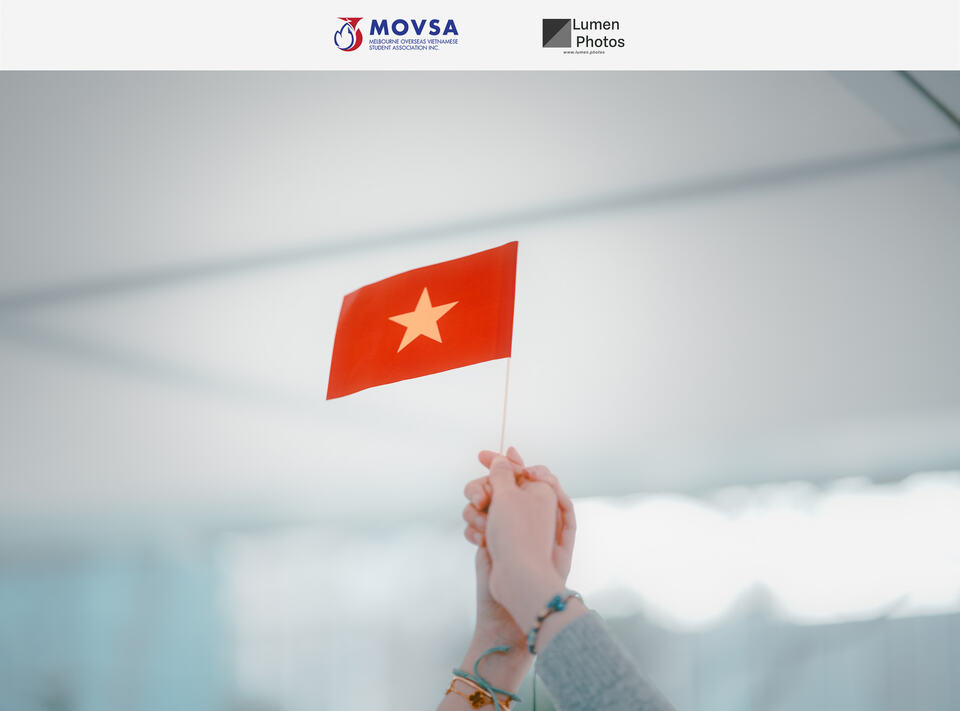 MOVSA 2.9