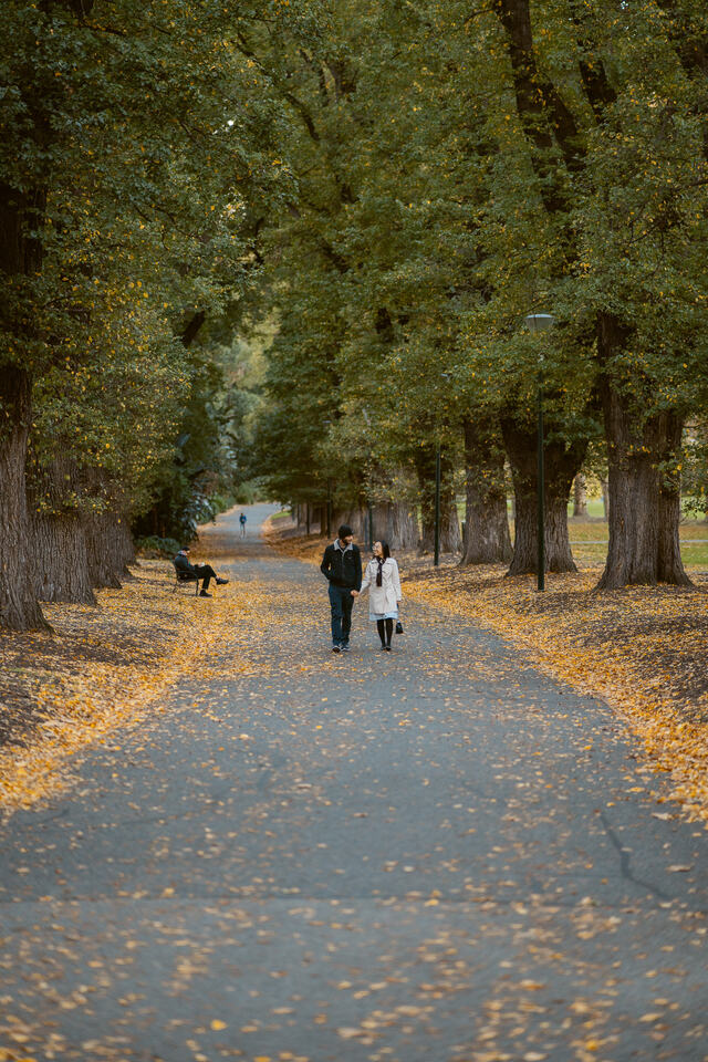 Alice couple CBD