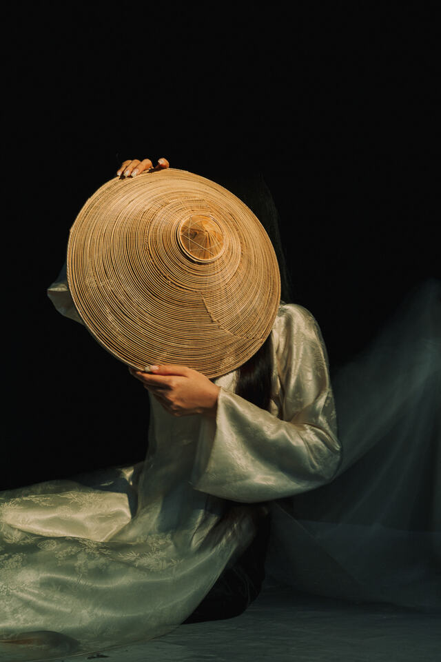 Ao Dai concept